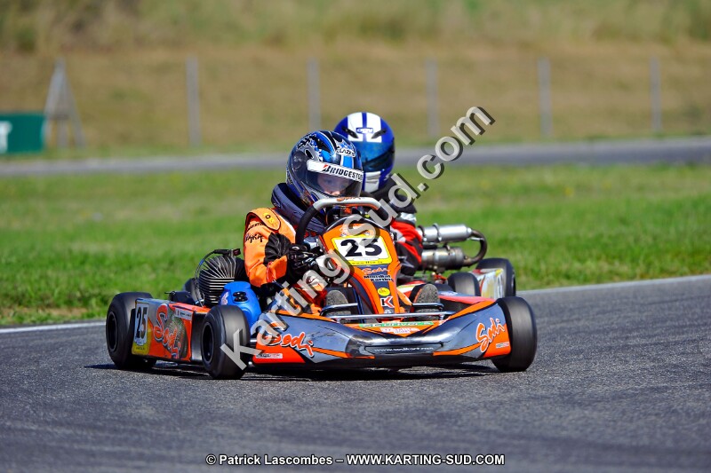 DSC_ (1352).jpg